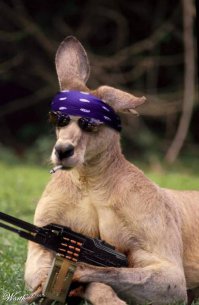 Армия Австралии / Australian military force 2015