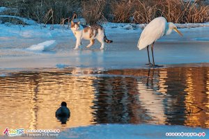 Фотоподборка за 10.11.2015