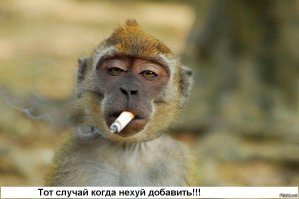 С такой рожей ни какие речевые тесты не нужны...