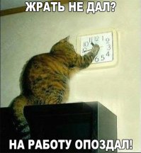 Комментарии в картинках!