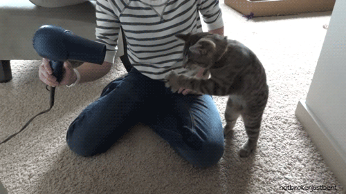 И тут вдруг... или что может случиться в любую секунду