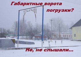 Грузовик с брёвнами проезжает через ущелье Борна