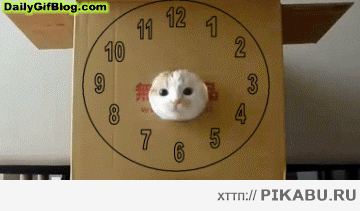 И тут вдруг... или что может случиться в любую секунду