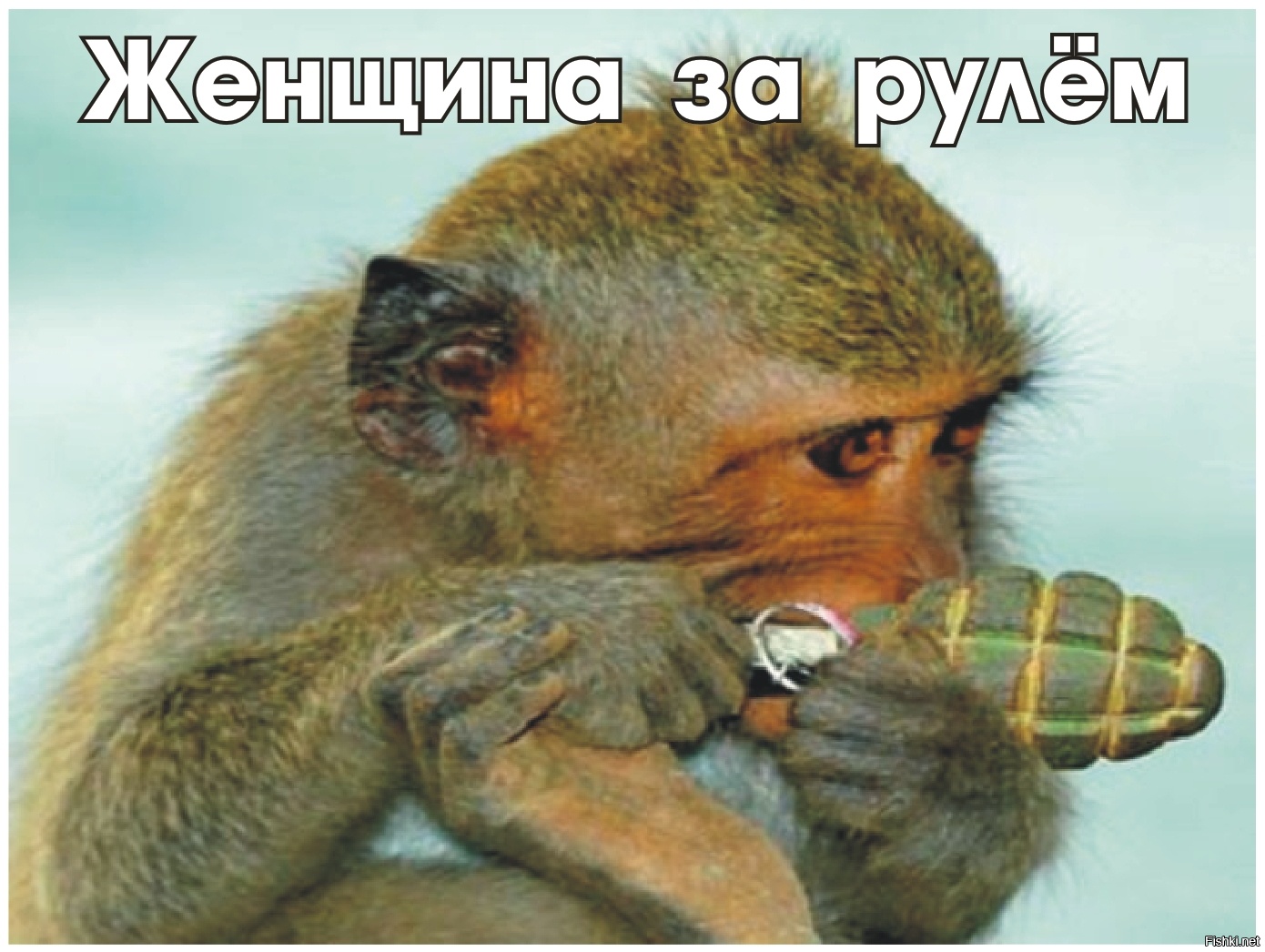 Девушка за рулем