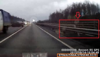 Куда? С моста вниз "увернулся" бы?

Посмотрите внимательнее на отбойник в месте удара - там кроме обычного "парапета" стоит дополнительный барьер и перила - это мост.

Картинка 1 - скрин (на нем же координаты места)

Картинка 2 - скрин яндекс карт по указанным координатам, подтверждающий наличие моста через речку