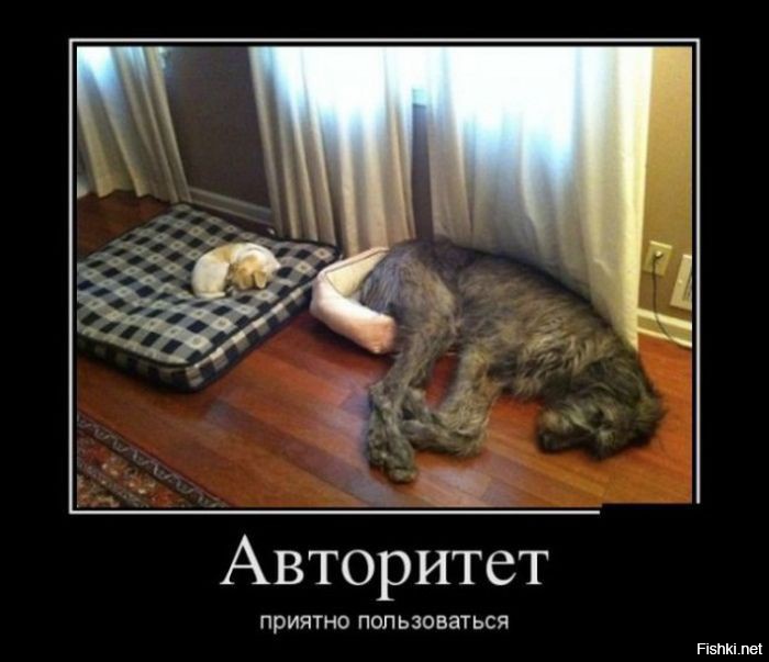 Махнулись не глядя!