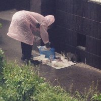 Согласен всем добра. Но вот то что на фотке - ужас. Это грязь, вонь и тд. Пусть бы себе домой забирали. Нет не хотят. Тогда приют.