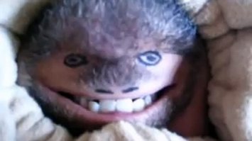 Смешные фотографии животных 