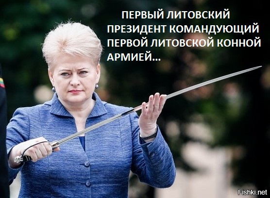 В Литве появились "эльфы"