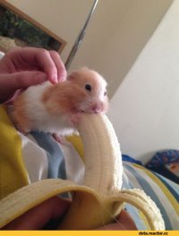 Фотоподборка за 11.11.2015