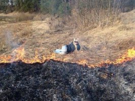 Между прочим сжигание травы теперь преступление.
Сразу вспомнился пост про женщину, которая выиграла на скачках и выложила фото билета в сеть.