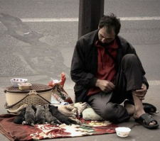 Бедный накормит десятерых.
Богатый украдет у десятерых бедных(((