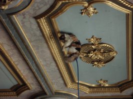 особенно кошку жалко и непонятно что означает эта композиция