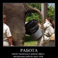 10 самых счастливых в мире профессий