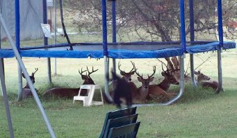 ку-ку ёпта ))