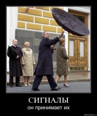 Люди, преданные зонтиками