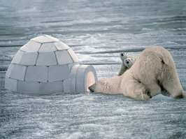 25 фотографий, поражающие тем, насколько вовремя они сделаны