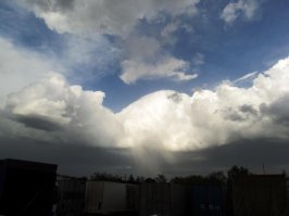 Перед бурей