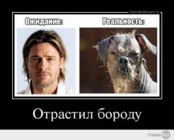 Комментарии в картинках!