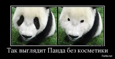 17 самых бесполезных косметических товаров, которые действительно существуют
