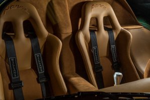 какой то цвет панозный