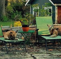 нормально отдыхают