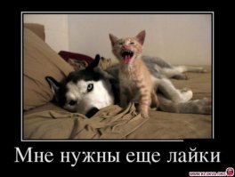 Ладно, ладно - не психуй! Вот...