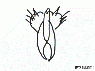 Игрушки, сшитые по рисункам детей