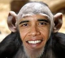 41 фантастический гибрид животных