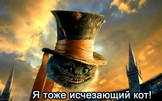 26 исчезающих диких кошек