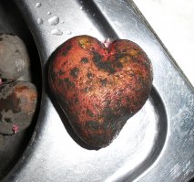 На счет картошки необычной формы...Самой как-то попалась в форме сердца.