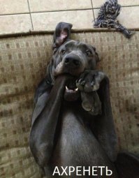 Удивительная соляная гора в Германии