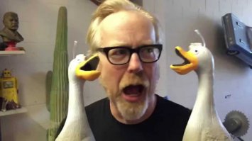 Последний рабочий день Адама Сэвиджа, ведущего телепередачи «Разрушители легенд»