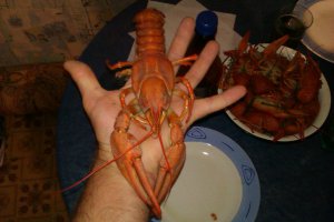 Как правильно есть раков?