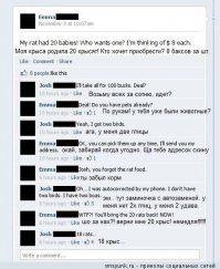 Смешные комментарии из социальных сетей