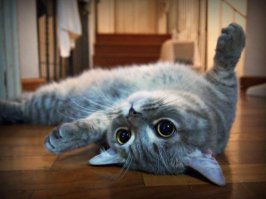 НЕ БЕСИ своими тупостями..
и не бесим будешь.!.