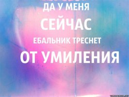 Трогательная история спасения тяжелораненого бельчонка 
