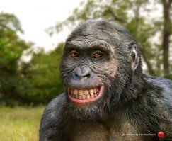 Серёга, смени авку! Австралопитеки вот):