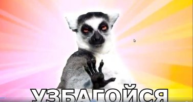 - ты куда таг гонишь
- у меня паноз
- воу воу узбагойся