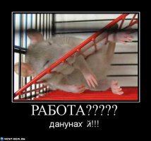 Смешные комментарии из социальных сетей 16.11.15