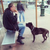 Сегодня утром. Милота