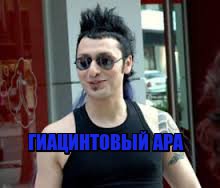 Гиацинтовый ара – образец верности