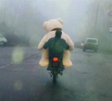 Как обычно, автор подписей к фотографиям - идиот.
Судя по еще одной паре ног, видно что это не водитель. Водитель сидит перед медведем.