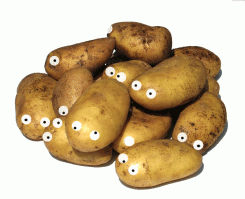 Беларусики