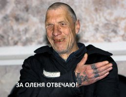 Он увидел на обочине мертвого оленя. То, что случилось потом, растрогает тебя до слёз