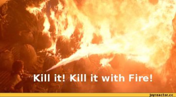 16 ужасающих снимков, которые заставят тебя бояться пауков еще больше