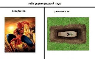 16 ужасающих снимков, которые заставят тебя бояться пауков еще больше