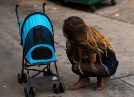 Коляска одинокой независимой женщины)