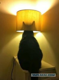 13 лучших битв постапокалиптического кино (14 фото)