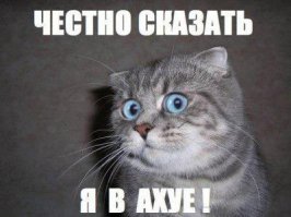  Как кричит сурок